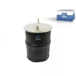 Ressort pneumatique, suspension pneumatique DT 2.62491 - Visuel 1
