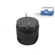 Ressort pneumatique, suspension pneumatique DT 2.62490 - Visuel 1