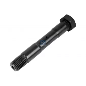 Axe de ressort DT 2.62095