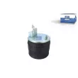 Ressort pneumatique, suspension pneumatique DT 2.62431 - Visuel 1
