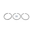 Jeu de segments de pistons DT 2.90126 - Visuel 1