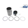 Kit de réparation, Piston/Chemise de cylindre DT 2.90173 - Visuel 1