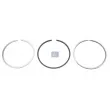 Jeu de segments de pistons DT 2.90081 - Visuel 1