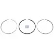Jeu de segments de pistons DT 2.90083 - Visuel 1