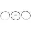 Jeu de segments de pistons DT 2.90088 - Visuel 1