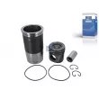Kit de réparation, Piston/Chemise de cylindre DT 3.90133 - Visuel 1