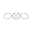 Jeu de segments de pistons DT 3.90039 - Visuel 1