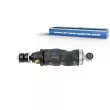 Amortisseur, suspension de la cabine DT 3.83013 - Visuel 1