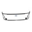 Cadre, grille de radiateur DT 1.23113 - Visuel 1