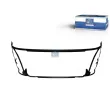 Suspension, grille de radiateur DT 1.23117 - Visuel 1