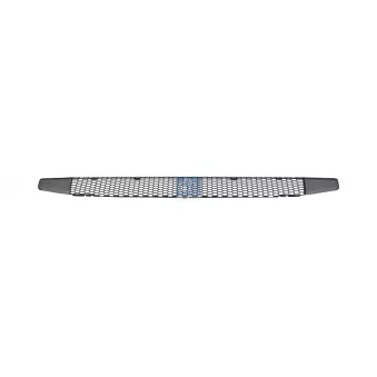 Grille de radiateur DT 1.23480