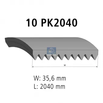 Courroie trapézoïdale à nervures DT