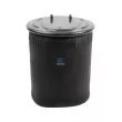 Ressort pneumatique, suspension pneumatique DT 1.25881 - Visuel 1