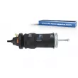 Amortisseur, suspension de la cabine DT 1.25699 - Visuel 1