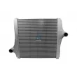 Intercooler, échangeur DT 3.16503 - Visuel 1