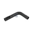 Durite de radiateur DT 3.16401 - Visuel 1