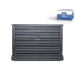 Intercooler, échangeur DT 3.16500 - Visuel 1