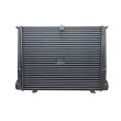 Intercooler, échangeur DT 3.16500 - Visuel 2