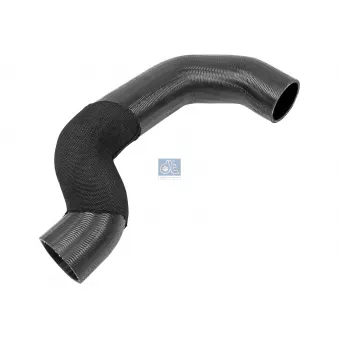 Durite de radiateur DT 3.16487