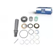 Kit d'assemblage, pivot de fusée d'essieu DT 2.95012 - Visuel 1
