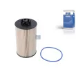 Filtre à carburant DT 3.22029 - Visuel 1