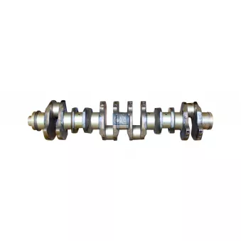 Vilebrequin DT 3.11046