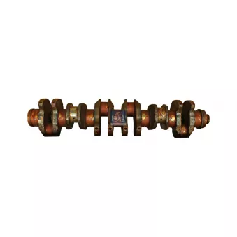 Vilebrequin DT 3.11047