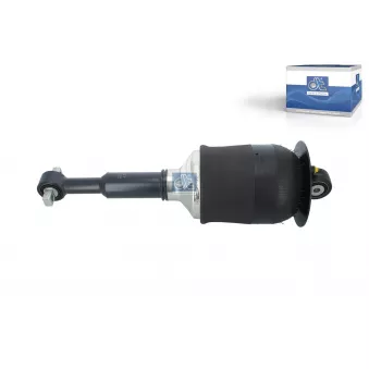 Jeu de 2 amortisseurs avant DT 3.00066