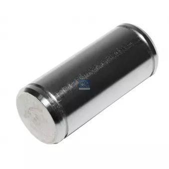 Axe de mâchoire de frein DT 10.33250