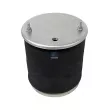 Ressort pneumatique, suspension pneumatique DT 10.36035 - Visuel 1