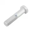 Boulon de roue DT 10.10005 - Visuel 1