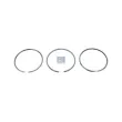 Jeu de segments de pistons DT 1.31036 - Visuel 1