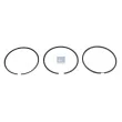 Jeu de segments de pistons DT 1.31034 - Visuel 1