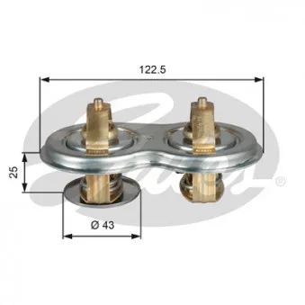 Thermostat d'eau GATES