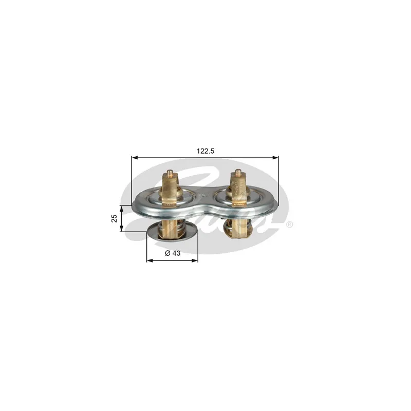 Thermostat d'eau GATES TH52180/87G1