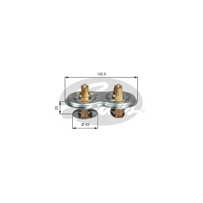 Thermostat d'eau GATES TH52275G1