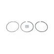 Jeu de segments de pistons DT 1.33131 - Visuel 1