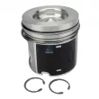 Piston DT 1.33155 - Visuel 1