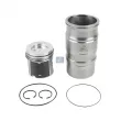 Kit de réparation, Piston/Chemise de cylindre DT 1.33117 - Visuel 1