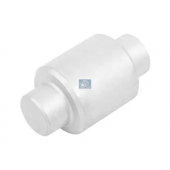 Poulie mâchoire de frein DT 10.23321