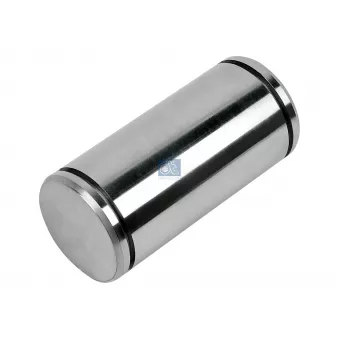 Axe de mâchoire de frein DT 10.23250