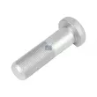 Boulon de roue DT 3.61105 - Visuel 1