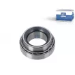 Roulement de roue DT 3.60009 - Visuel 1