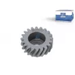 Roue dentée, compresseur d'air DT 3.75160 - Visuel 1