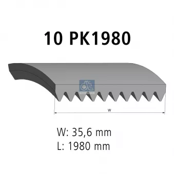 Courroie trapézoïdale à nervures DT 3.34325