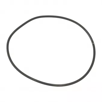 Joint de pompe à eau OE