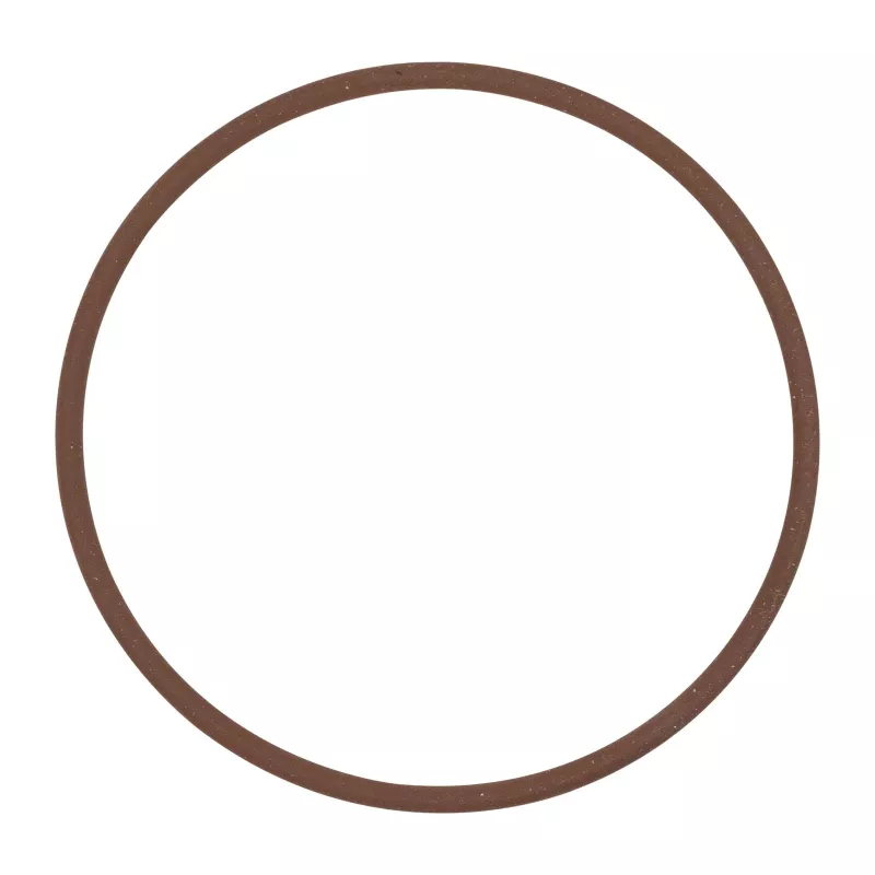 Bague d'étanchéité OE 17284781