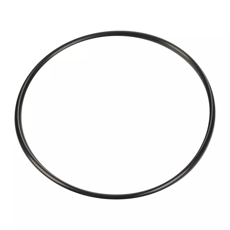 Joint de porte OE 504325903 - Visuel 1