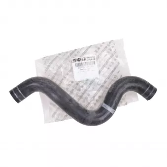 Durite de radiateur OE 51844139