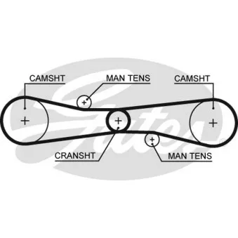 Courroie crantée GATES